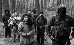 Zaskakująca decyzja polskiego rządu. Przed 'Zieloną granicą' będzie wyświetlany specjalny spot