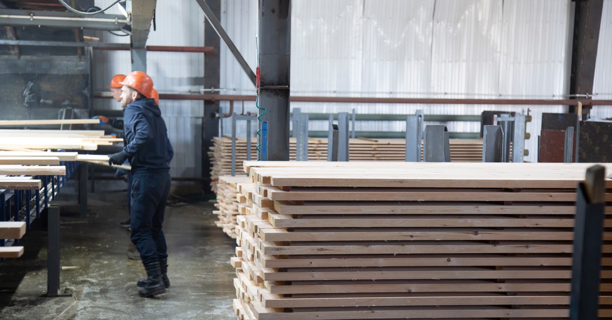 Nielegalne drewno z Rosji zalewa Europę. Do niedawna wjeżdżało głównie przez Polskę