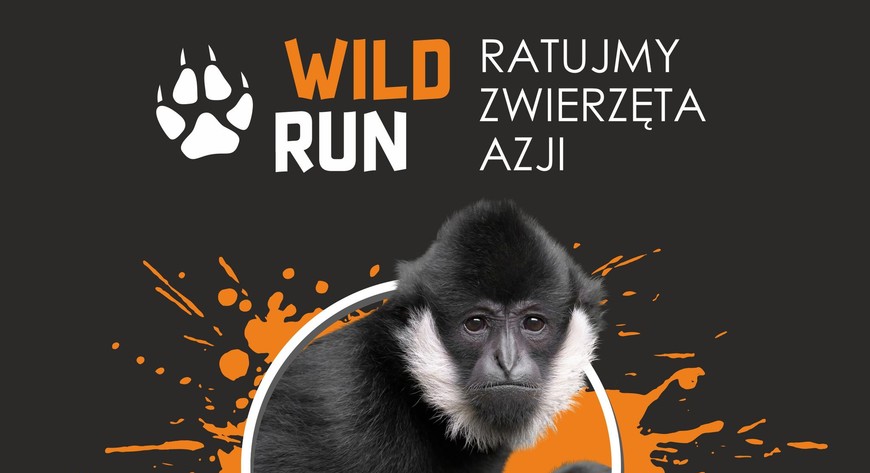 Wild Run to ważna impreza w zoo