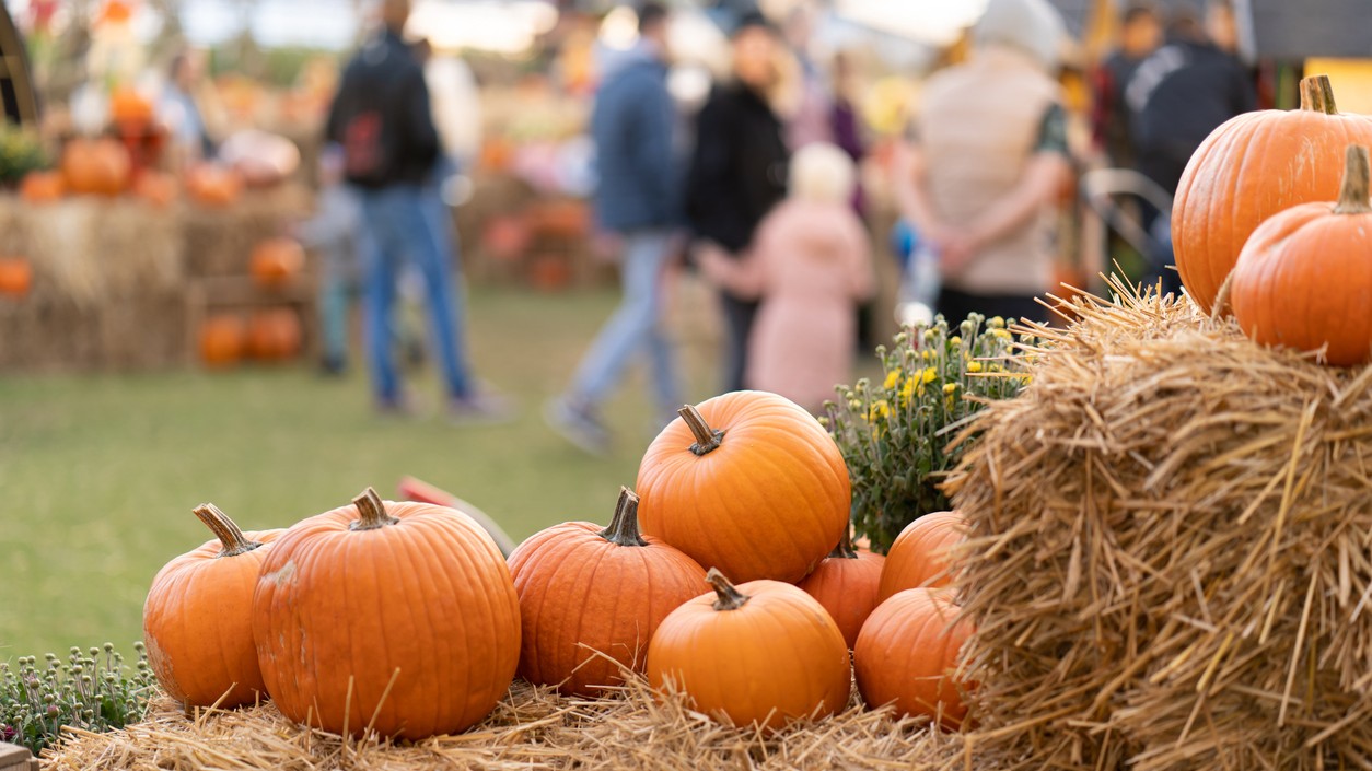 Ktoré sezónne potraviny vám dodajú energiu a silnú imunitu. (Ilustračný obrázok)