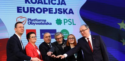 Ta partia chce wprowadzić euro! Staruje w wyborach