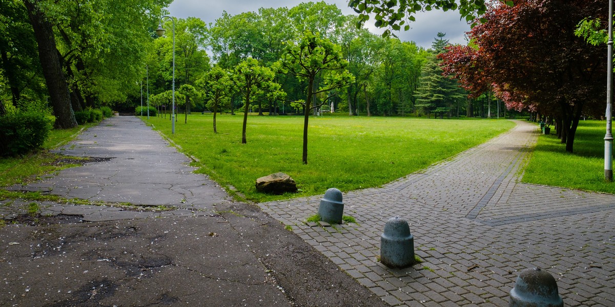 Inwestycje w Parku Kościuszki w Katowicach.