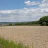 Najskuplji kvadrat poljoprivrednog zemljišta prometovan je u katastarskoj opštini Kać.