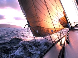 Wygrali z wódką. Teraz będą walczyć z wodą