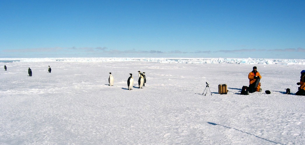 Lodowa saga na Antarktydzie