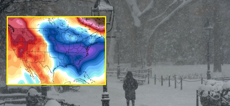 Legwany będą spadać z drzew. Największy atak zimy od lat sunie do USA