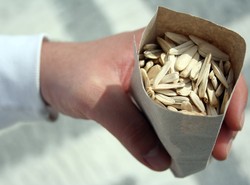 Żywność tanieje, wiele towarów o 20 procent