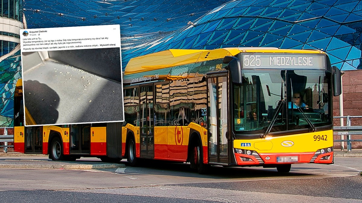 Zobaczył zadbaną pasażerkę w autobusie. Potem przeżył szok. Aż się robi niedobrze