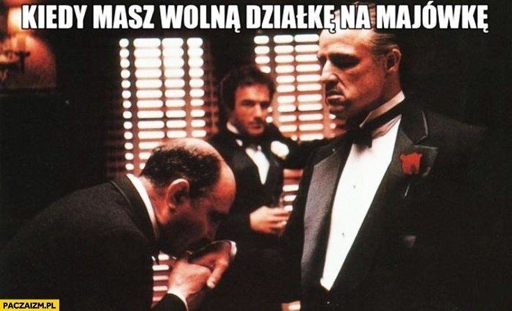 Memy na majówkę 2023