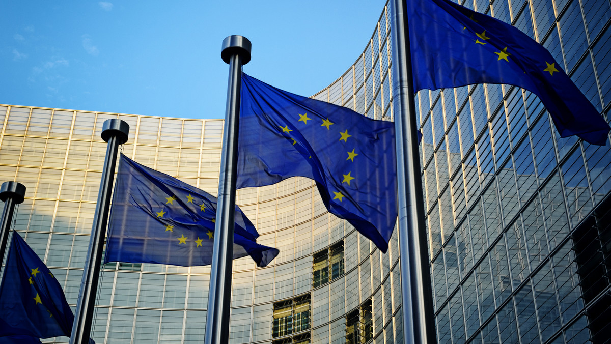Komisja Europejska przyjęła wyjaśnienia Polski dotyczące wstrzymania wycinki w Puszczy Białowieskiej i przynajmniej na razie nie ma zamiaru występować do Trybunału Sprawiedliwości UE o kary - wynika z informacji przekazanych PAP przez źródło unijne.