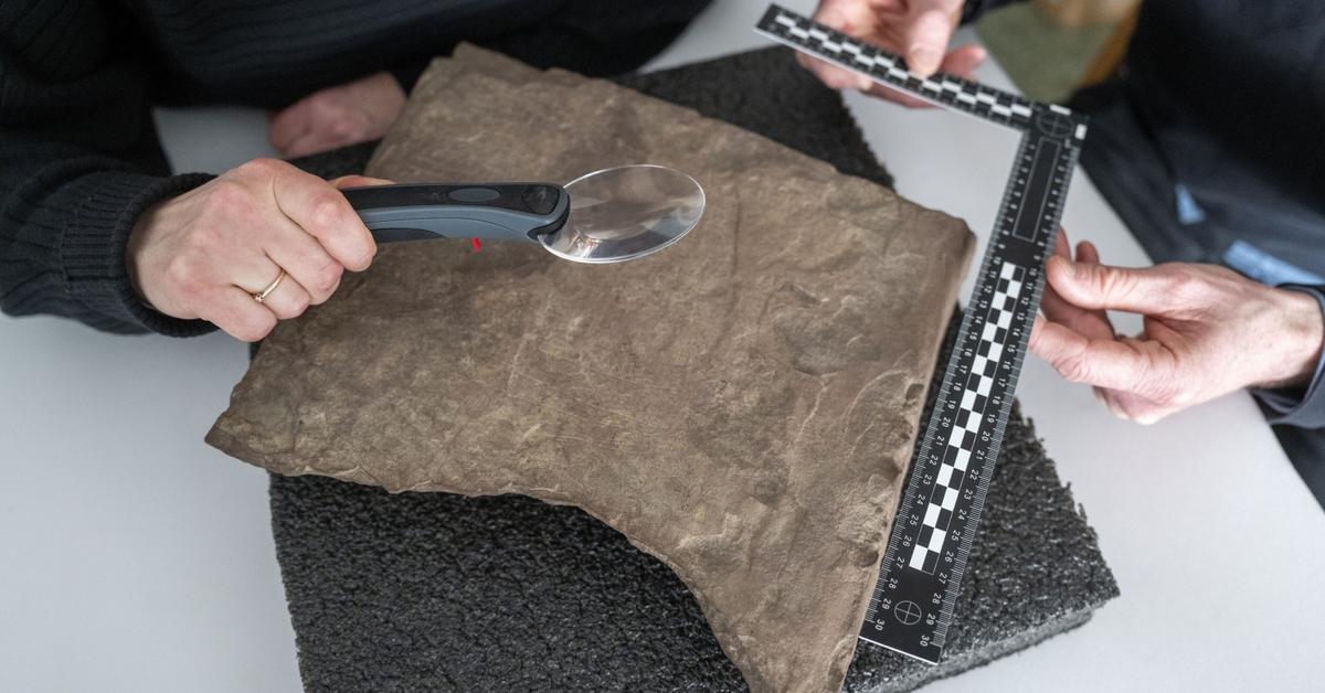 Uvanlig funn i Norge.  &laquo;Teksten refererer sannsynligvis til en kvinne …&raquo;