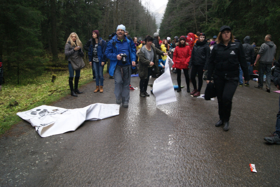 Fiakrzy rozpędzili protest obrońców zwierząt