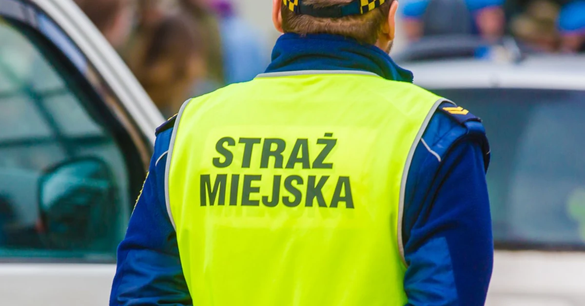 Strażnicy miejscy dostali specjalne uprawnienia. Skontrolują posesje warszawiaków