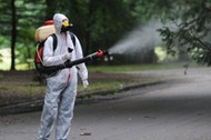 01.08.2013. Odkomarzanie na terenie Cmentarza Centralnego w Szczecinie.