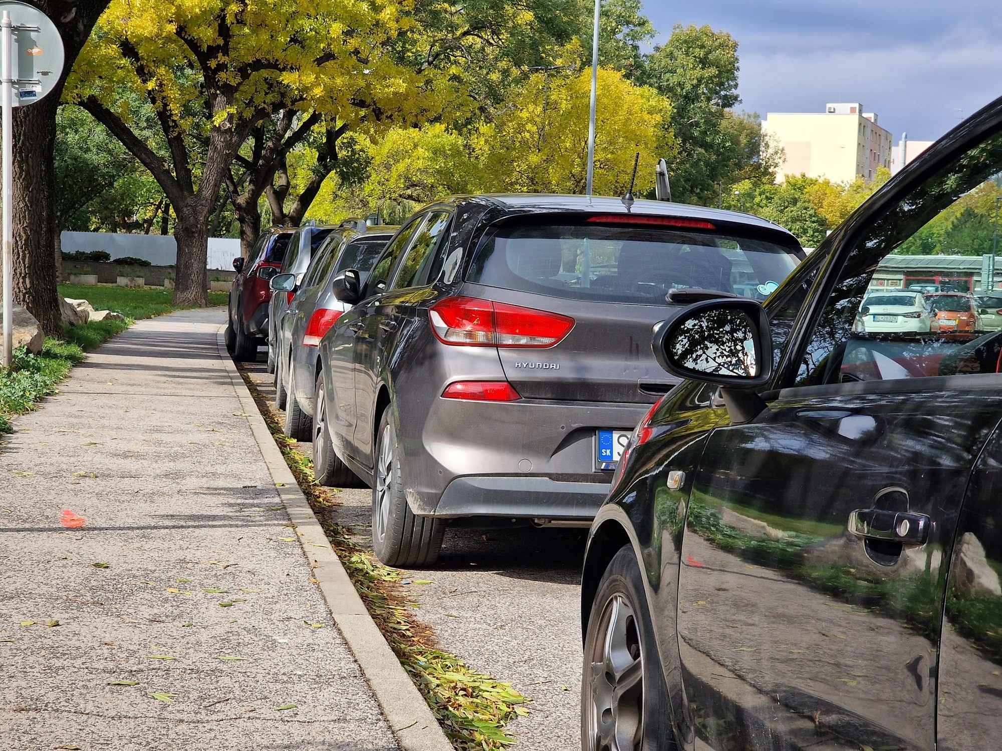 Pri parkovaní v exteriéri zvážte, či budete parkovať priamo pod stromami, na ktorých zvyknú sedávať vtáky. Riziko poškodenia laku nie je len povera.