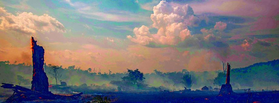Pożary w Amazonii są zagrożeniem dla klimatu na całej planecie, tamtejsze lasy deszczowe dostarczają jedną piątą tlenu na Ziemi.Szalejące pożary są jaskrawym efektem niepohamowanego wzrostu ekonomicznego. W ostatnim roku w samej Brazylii tempo wycinki lasów wzrosło o 278 proc. (dane: Brazil’s National Institute for Space Research)
