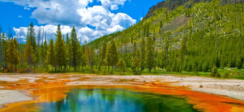 Powodzie, lawiny błotne i obrywy skalne. Amerykański park Yellowstone zamknięty