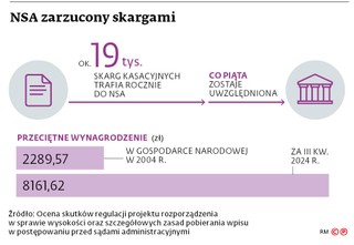 NSA zarzucony skargami