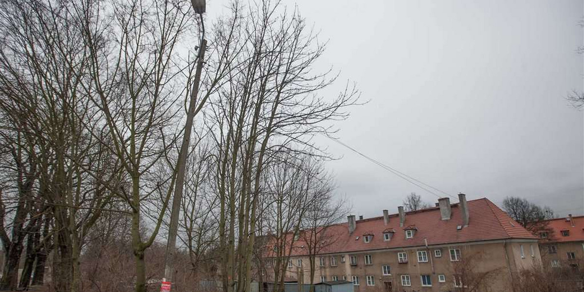 Nie chcemy wieżowców przy parku 