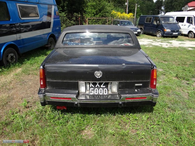 Cadillac eldorado, którym jeździła Violetta Villas
