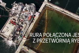 Kanadyjska firma pod ostrzałem za... wypuszczanie krwi do publicznych wód