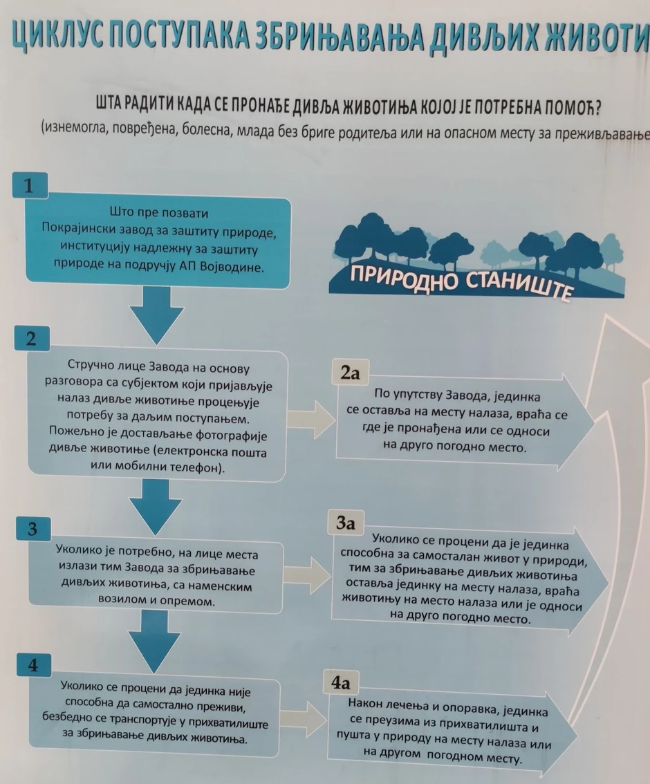 Uputstvo za zbrinjavanje divljih životinja