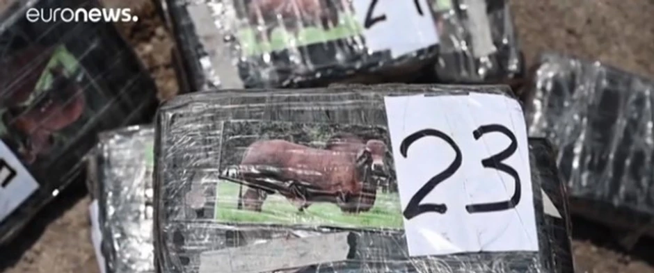 Kilogram kokaina na ulicama Njujorka ovih dana dostiže i trideset hiljada dolara