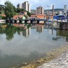 U popodnevnim satima alge dospeju u deo kupališta oko brane