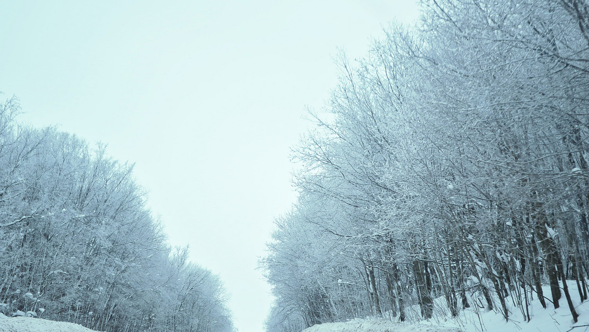 Pogoda Poznań na dziś. Prognoza pogody 18.01.2021