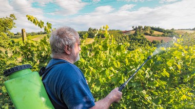 oprysk miedzianem - co można pryskać miedzianem? kiedy pryskać miedzianem drzewa owocowe? jak robić oprysk miedzianem? czy miedzian jest szkodliwy? miedzian extra 350 scmiedzian 50 wp jak i kiedy stosować terminy oprysków
