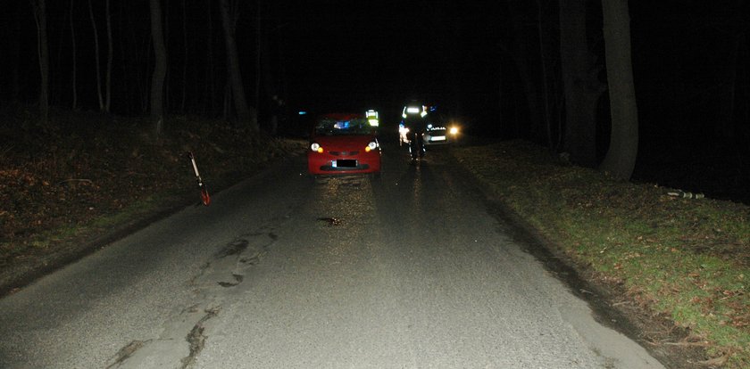 Tragedia na drodze. Zginął pieszy