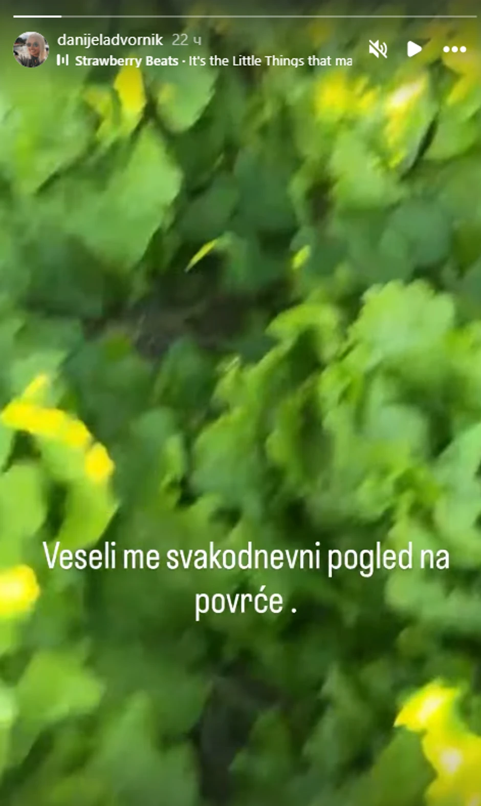 Danijela Dvornik pokazala baštu