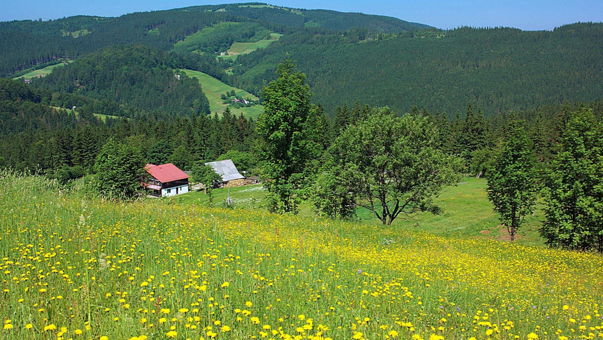 Karolówka, mała-duża góra Beskidu Śląskiego