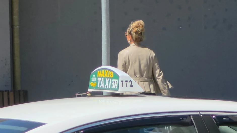 Snežana Babić Sneki