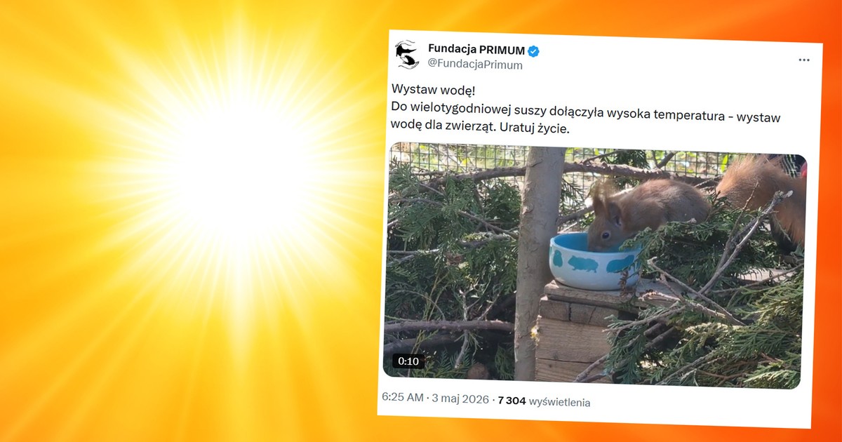 Susza w Polsce
