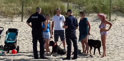 Rottweiler pogryzł 8-latka na plaży. Właścicielka zaatakowała rodzinę dziecka i policjanta