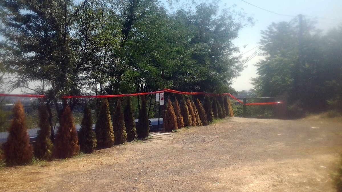 657238_poljana-bezanijska-kosa-1-foto-facebook