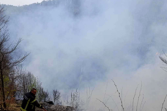 MUP HITNO REAGOVAO Četiri požara se rabuktala širom Srbije: Zbog jednog proglašena vanredna situacija (FOTO)