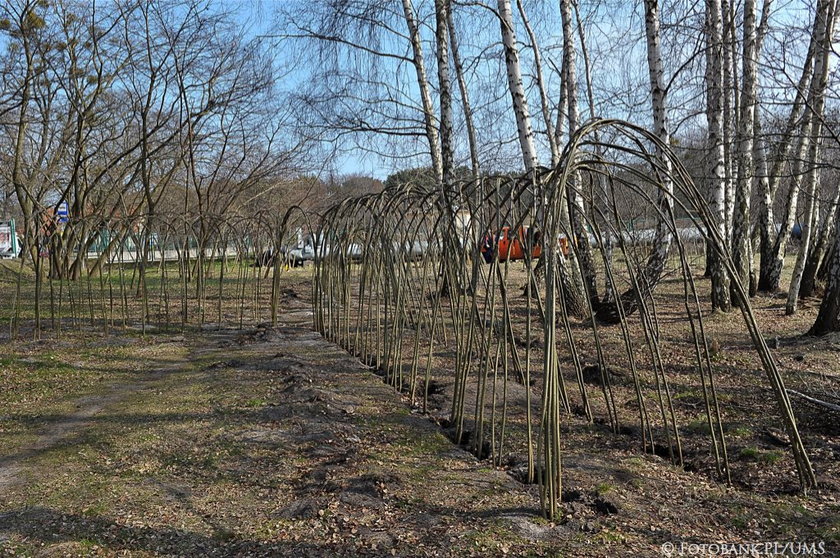 Ekologiczny plac zabaw ma powstać na sopockich błoniach