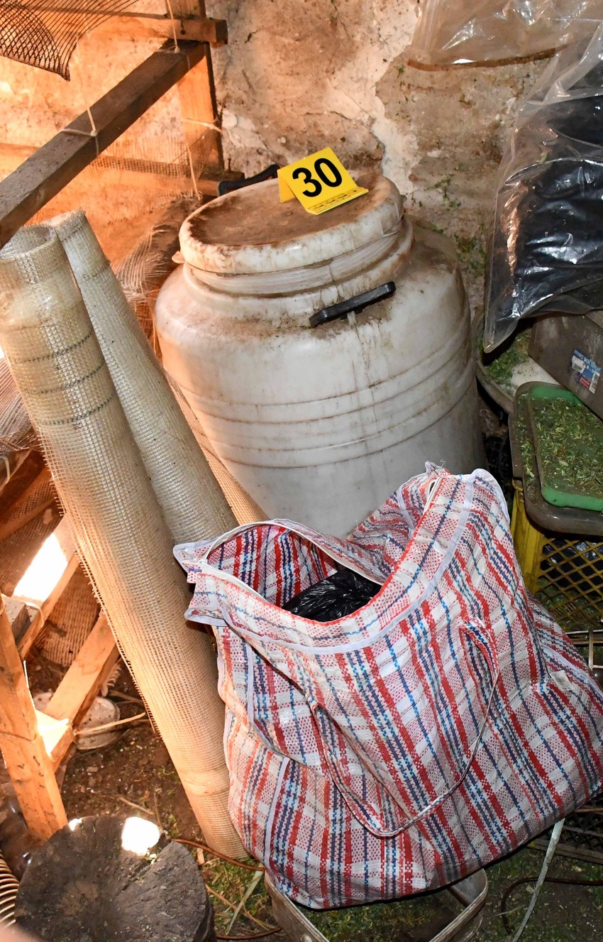 Pronađena marihuana u Vranju 