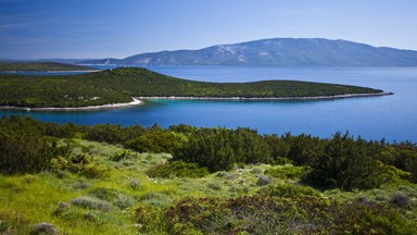 Lošinj - jedna z najbardziej zielonych wysp Chorwacji