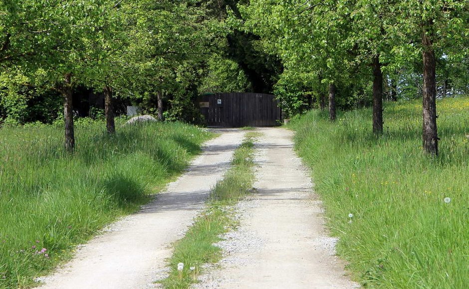 Dojazd do drogi publicznej jest konieczny przy budowie domu