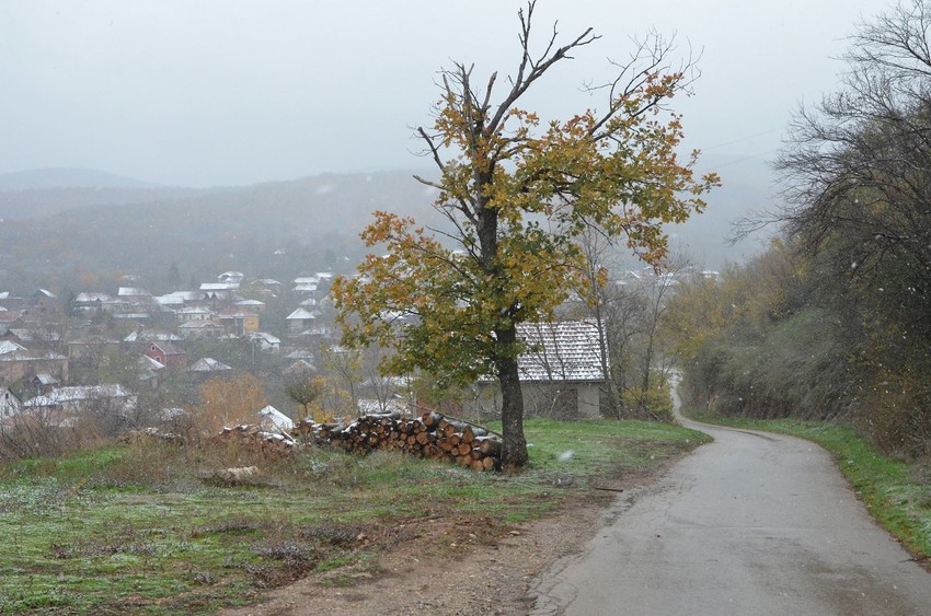 Opština Gadžin Han