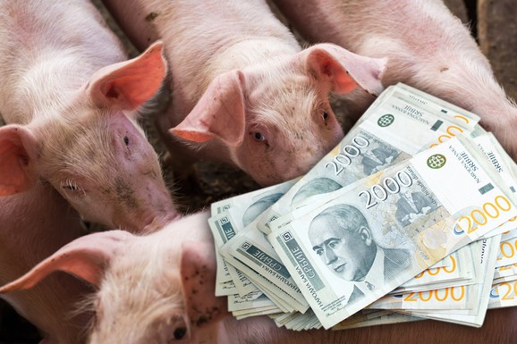 Tržište stoke u Srbiji: STIPS izneo brojke, evo šta je poskupelo, a šta pojeftinilo pred praznike