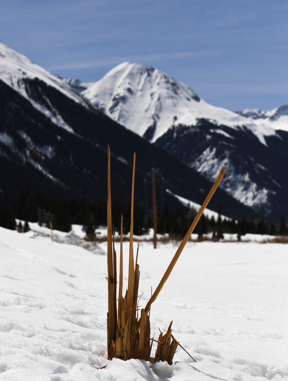 Słup wysokiego napięcia złamany pod naporem schodzącej lawiny. Crested Butte, Kolorado. 