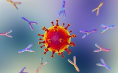 SARS-1 i MERS niegroźny dla osób zaszczepionych i które przeszły COVID-19?