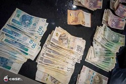 Złodzieje z Polski postrachem w Niemczech. Kradli "na komputer"