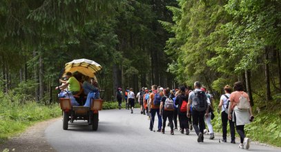 Wielka rewolucja na trasie konnej do Morskiego Oka. Naukowcy i hodowcy oburzeni. "To zły kierunek"