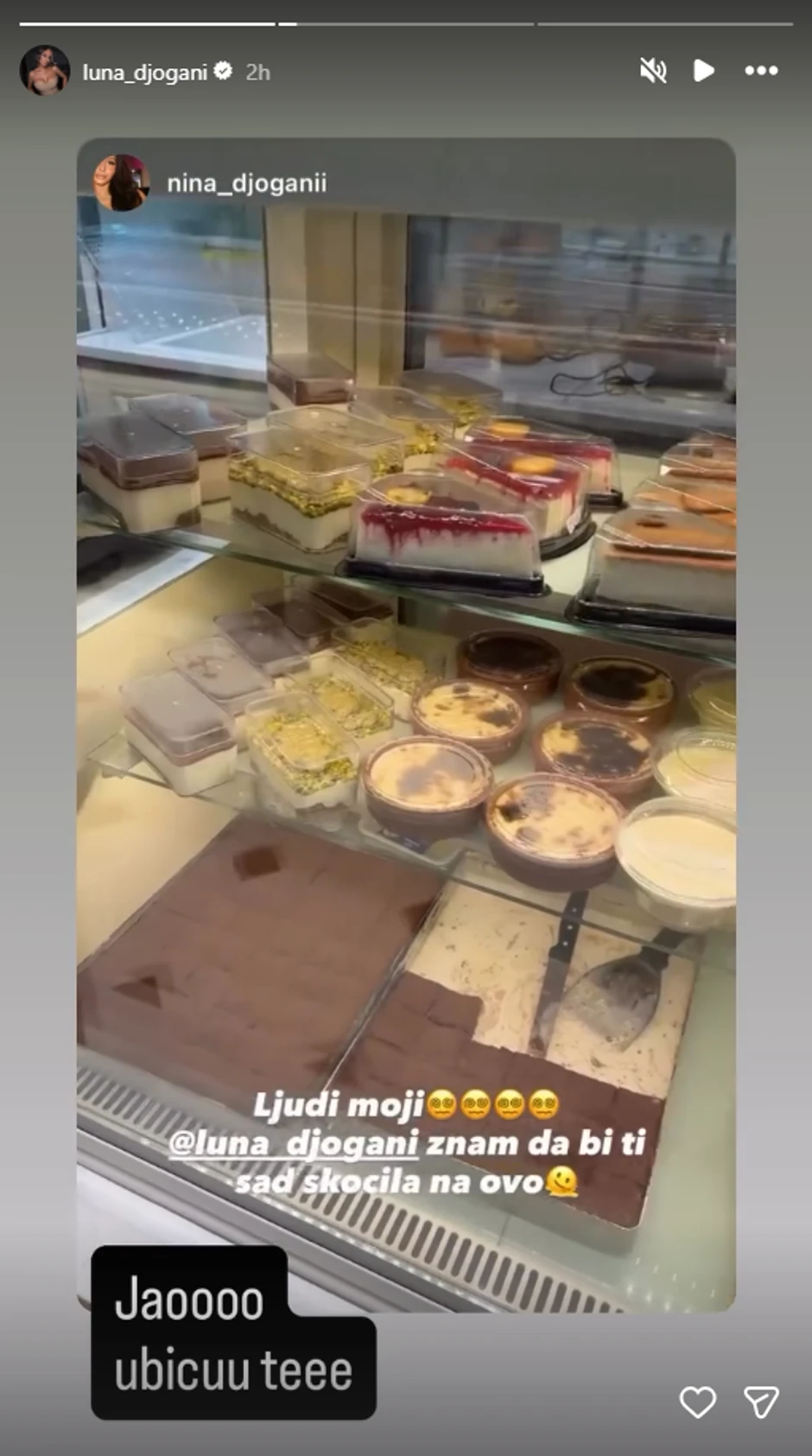 Luna Đogani, objava