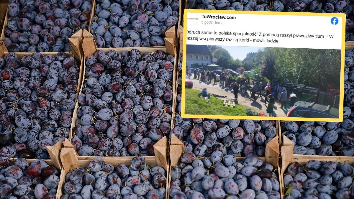 Rolnik oszukany przez kontrahenta. Uratowała go akcja internautów. "Jesteście niesamowici!"